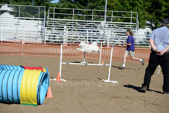 AGILITY-1900