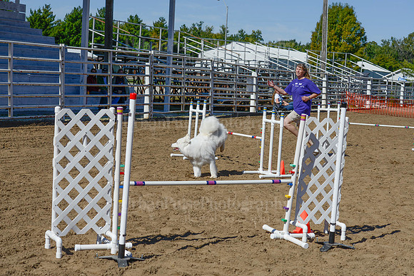 AGILITY-2309