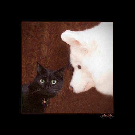 ALI AND GRACIE