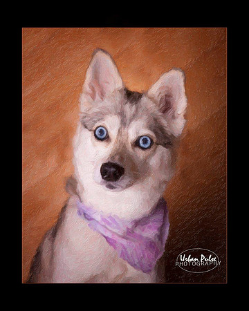 KLEE KAI