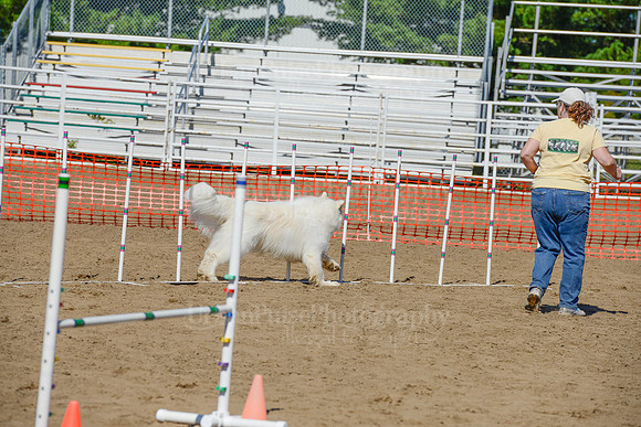 AGILITY-2375