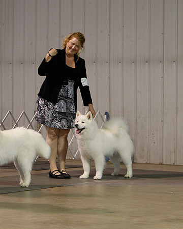 Fargo_2011-3738
