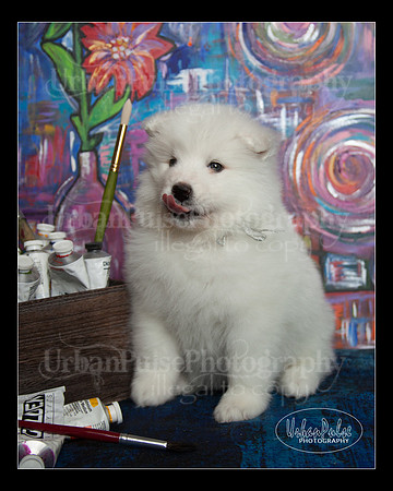 MaterxMaya5.5wks-8711