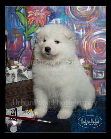 MaterxMaya5.5wks-8710