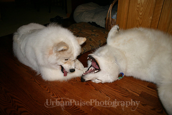 AGATE & BERYLLOS 1YR_269