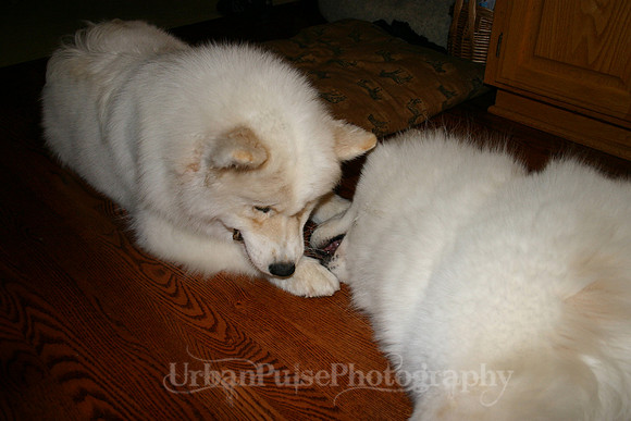 AGATE & BERYLLOS 1YR_272