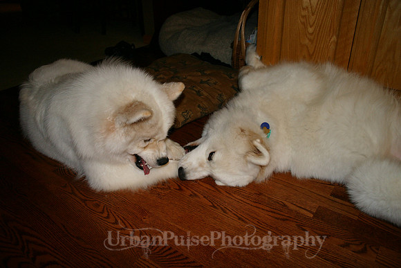 AGATE & BERYLLOS 1YR_270
