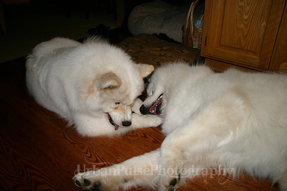 AGATE & BERYLLOS 1YR_268