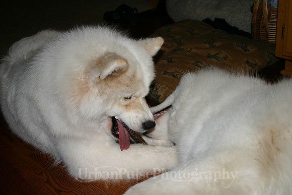 AGATE & BERYLLOS 1YR_267