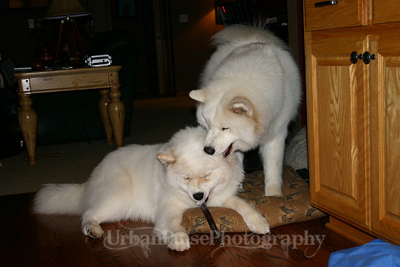 AGATE & BERYLLOS 1YR_262