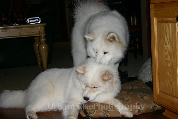 AGATE & BERYLLOS 1YR_261