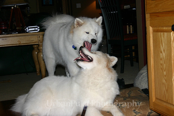 AGATE & BERYLLOS 1YR_259