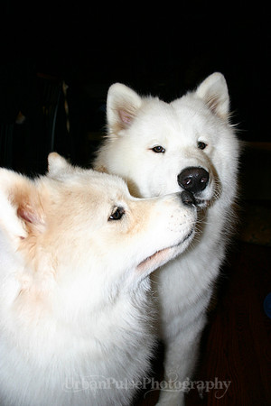 AGATE & BERYLLOS 1YR_253