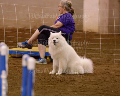 SCA2016_AG MON FAST NOVICE-3538