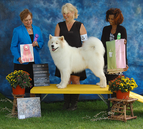 LAKE ELMO SPECIALTY - BEST IN WORKING SWEEPS