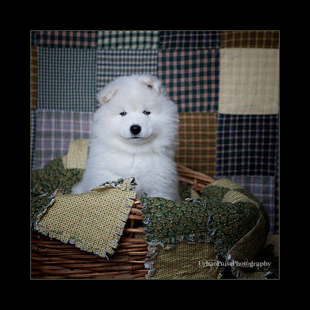 PurpleBoy_6weeks_0319