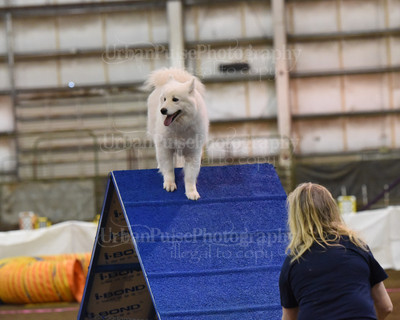 SCA2016_AG MON FAST NOVICE-0084