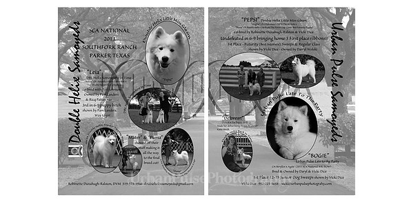 AD Spread