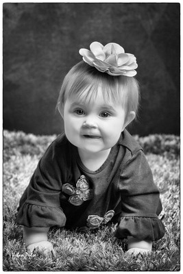 VIVI-9MO-9964