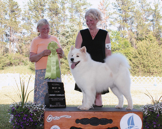 BOGIE RES BEST IN SHOW OH 2016