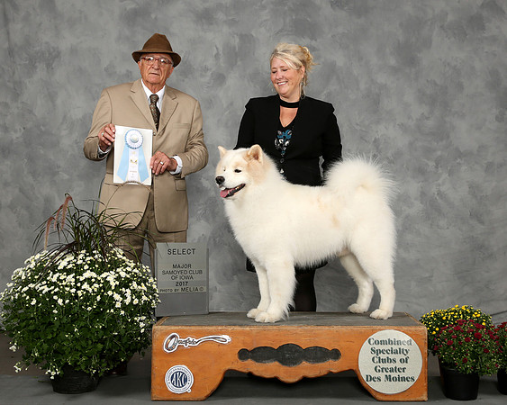 BOGIE SELECT 2017 SAMOYED CLUB OF IOWA
