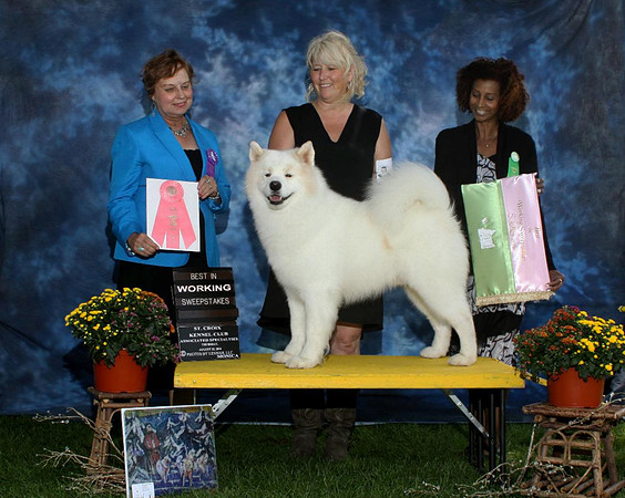 LAKE ELMO SPECIALTY - BEST IN WORKING SWEEPS