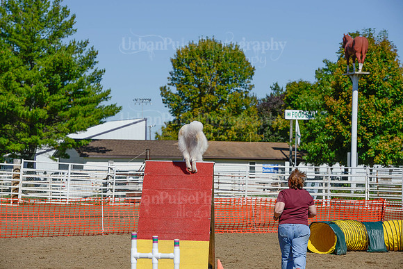 AGILITY-2229