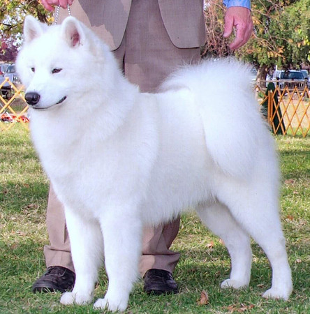 HAKU_7957