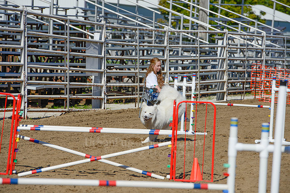 AGILITY-2094