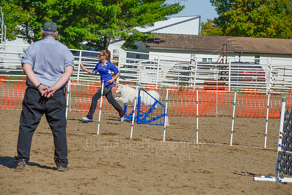 AGILITY-2131