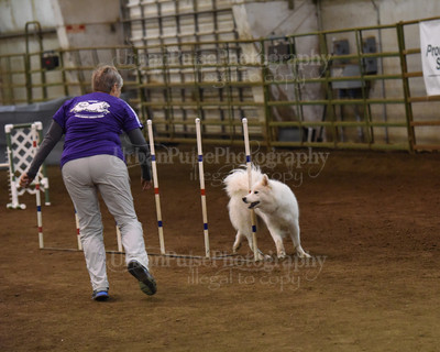 SCA2016_AG MON FAST NOVICE-0099