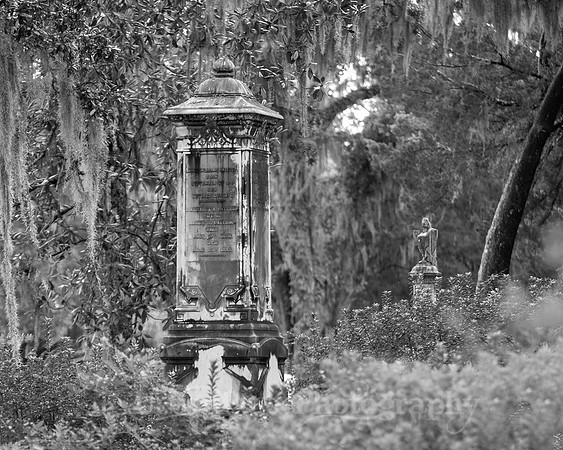 Savannah_9833