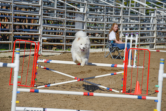AGILITY-2095