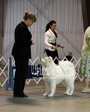 Fargo_2011-3652