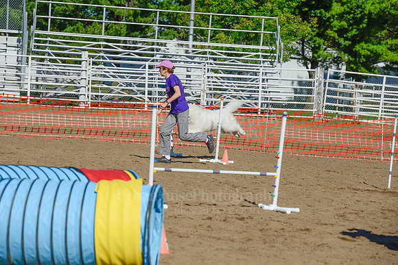 AGILITY-2186