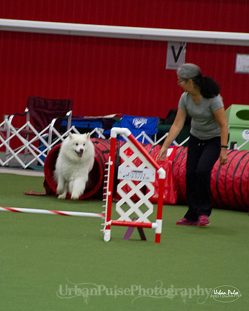 AGILITY_9434