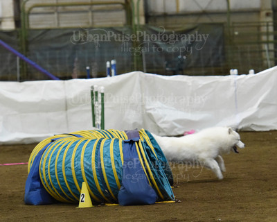 SCA2016_AG MON FAST NOVICE-0068