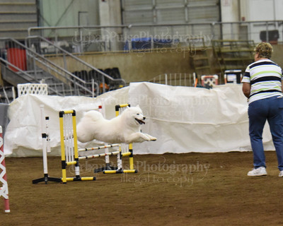 SCA2016_AG MON FAST NOVICE-0071