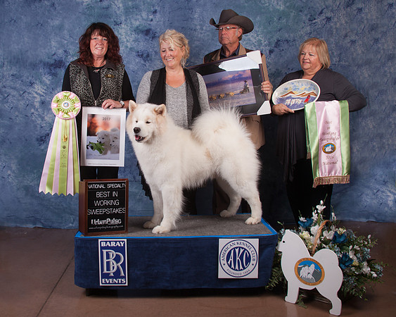 2016 SCA NATIONAL BEST IN WORKING SWEEPS
