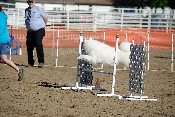AGILITY-1879