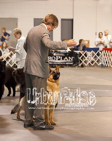 Fargo_2011-4009