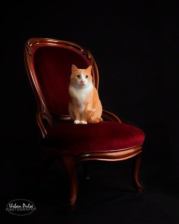Dewey_7857