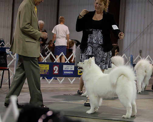 Fargo_2011-3725