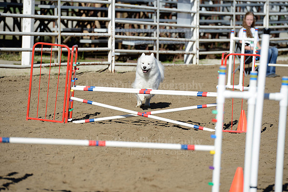 AGILITY-1883