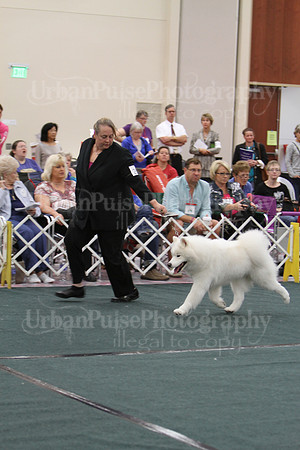 D BOB GR4-3975 2014 SCA National