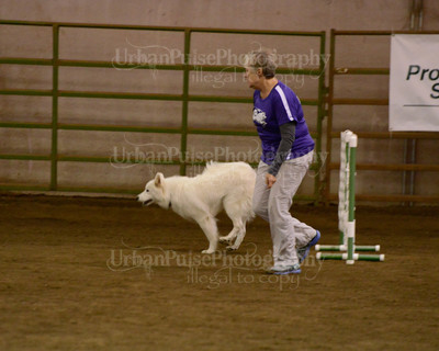 SCA2016_AG MON FAST NOVICE-3567