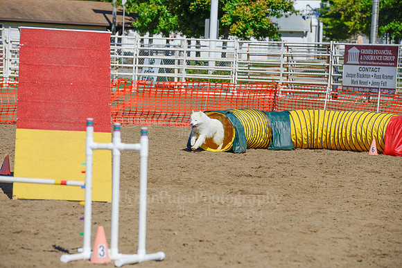 AGILITY-2251
