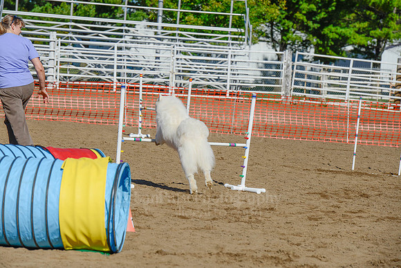 AGILITY-2116