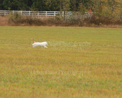 SCA2016_LURE COURSING-7334