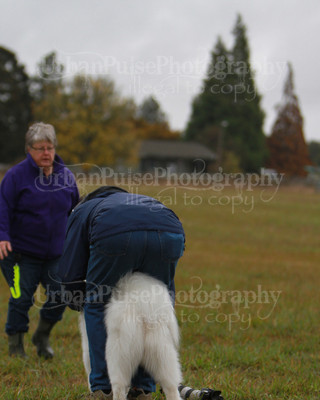 SCA2016_LURE COURSING-7546